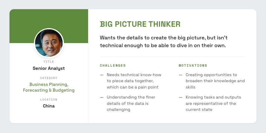 Big Picture Thinker persona